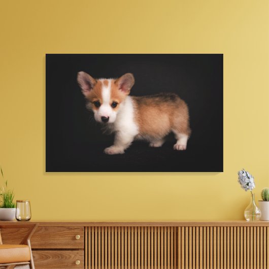 Kutest Baby Animals | Tiny Corgi Canvas Afdruk (Insitu (Woonkamer))