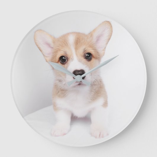 Kutest Baby Animals | Tiny Corgi Grote Klok (Voorkant)