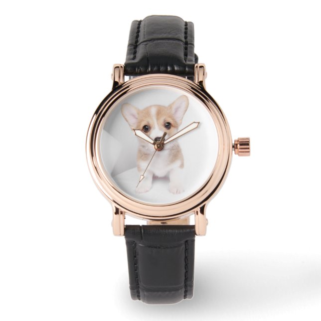 Kutest Baby Animals | Tiny Corgi Horloge (Voorkant)