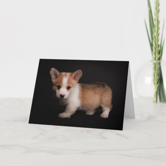 Kutest Baby Animals | Tiny Corgi Kaart (Voorkant)