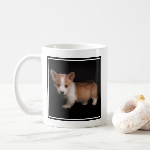 Kutest Baby Animals   Tiny Corgi Koffiemok
