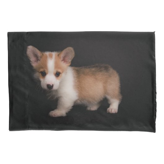 Kutest Baby Animals | Tiny Corgi Kussensloop (Voorkant)