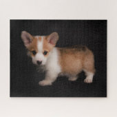 Kutest Baby Animals | Tiny Corgi Legpuzzel (Horizontaal)