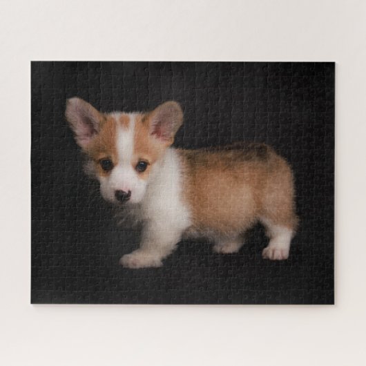 Kutest Baby Animals | Tiny Corgi Legpuzzel (Horizontaal)