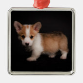 Kutest Baby Animals | Tiny Corgi Metalen Ornament (Voorkant)