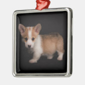 Kutest Baby Animals | Tiny Corgi Metalen Ornament (Links)