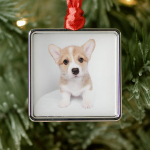 Kutest Baby Animals   Tiny Corgi Metalen Ornament