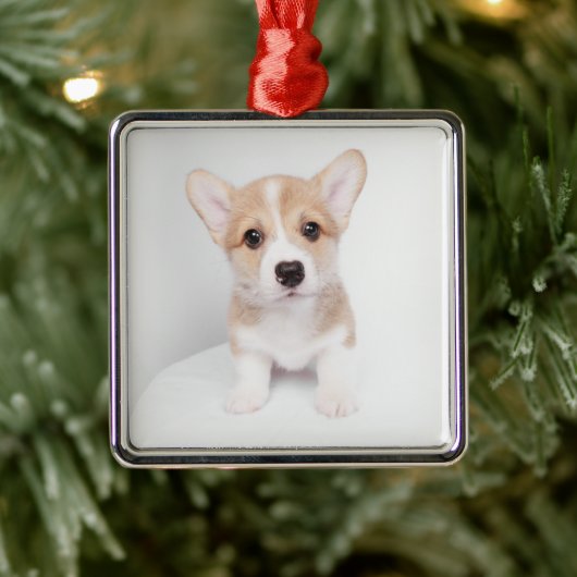 Kutest Baby Animals | Tiny Corgi Metalen Ornament (Boom)