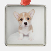 Kutest Baby Animals | Tiny Corgi Metalen Ornament (Voorkant)