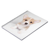 Kutest Baby Animals | Tiny Corgi Notitieboek (Linkerzijde)