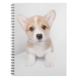 Kutest Baby Animals   Tiny Corgi Notitieboek