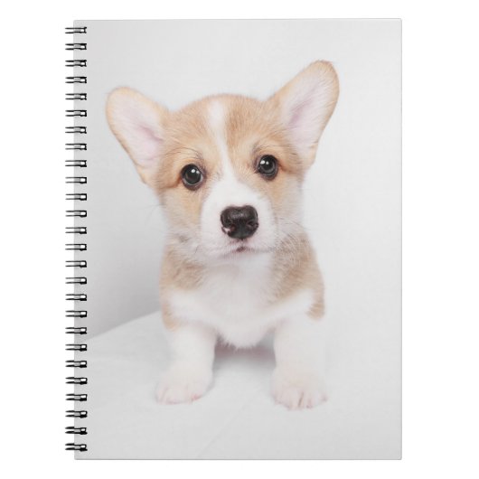 Kutest Baby Animals | Tiny Corgi Notitieboek (Voorkant)