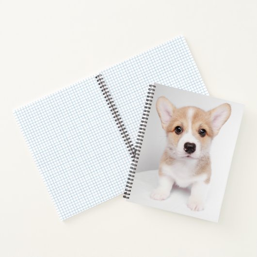 Kutest Baby Animals | Tiny Corgi Notitieboek (Binnen)
