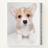 Kutest Baby Animals | Tiny Corgi Notitieboek (Achterkant)