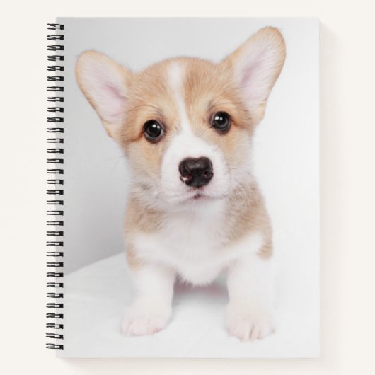 Kutest Baby Animals | Tiny Corgi Notitieboek (Voorkant)