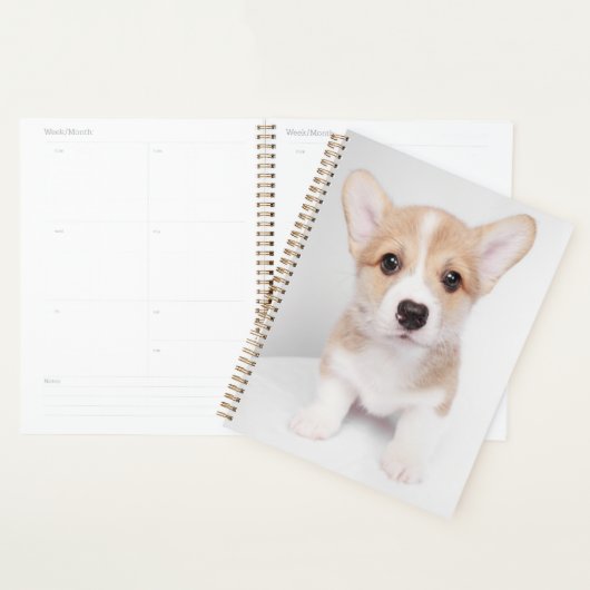 Kutest Baby Animals | Tiny Corgi Planner (Display)