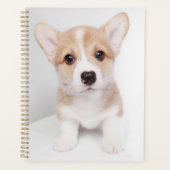Kutest Baby Animals | Tiny Corgi Planner (Voorkant)