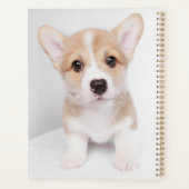 Kutest Baby Animals | Tiny Corgi Planner (Achterkant)