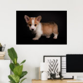 Kutest Baby Animals | Tiny Corgi Poster (Thuiskantoor)