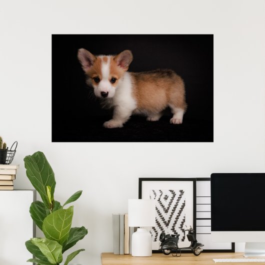 Kutest Baby Animals | Tiny Corgi Poster (Thuiskantoor)