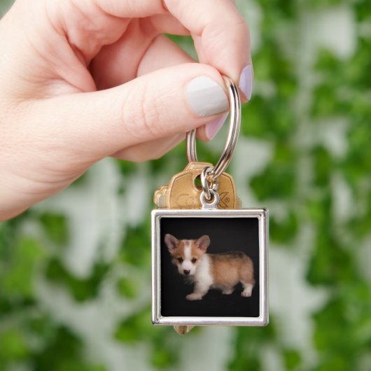 Kutest Baby Animals | Tiny Corgi Sleutelhanger (Hand)