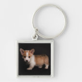 Kutest Baby Animals | Tiny Corgi Sleutelhanger (Voorkant)