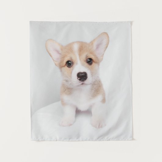 Kutest Baby Animals | Tiny Corgi Wandkleed (Voorkant)