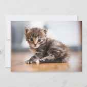 Kutest Baby Animals | Tiny Tabby Kitten Bedankkaart (Voorkant)