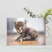 Kutest Baby Animals | Tiny Tabby Kitten Bedankkaart (Staand voorkant)