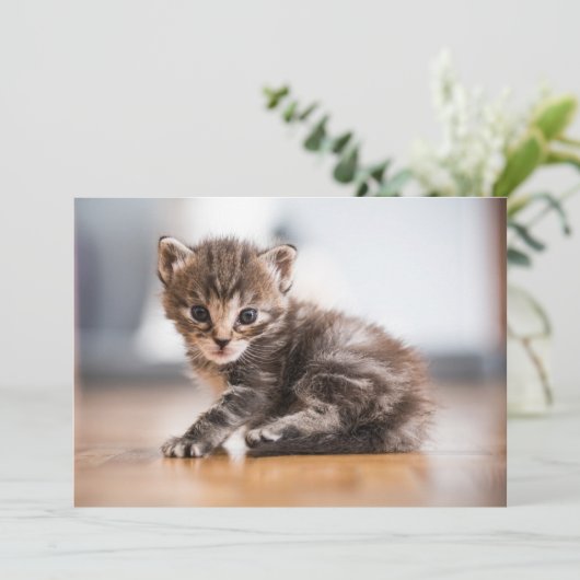 Kutest Baby Animals | Tiny Tabby Kitten Bedankkaart (Staand voorkant)