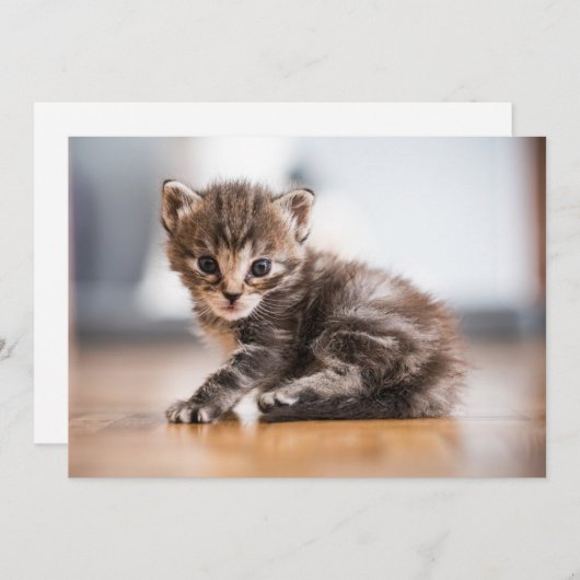 Kutest Baby Animals | Tiny Tabby Kitten Bedankkaart (Voorkant / Achterkant)