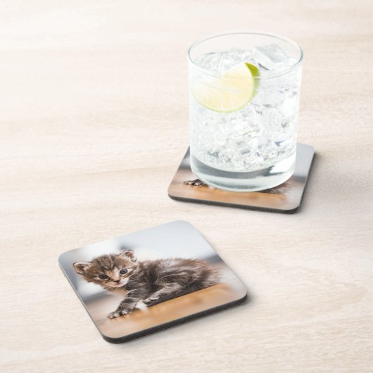 Kutest Baby Animals | Tiny Tabby Kitten Bier Onderzetter (Rechterzijde)