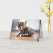 Kutest Baby Animals | Tiny Tabby Kitten Kaart (Gele Bloem)