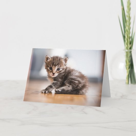 Kutest Baby Animals | Tiny Tabby Kitten Kaart (Voorkant)