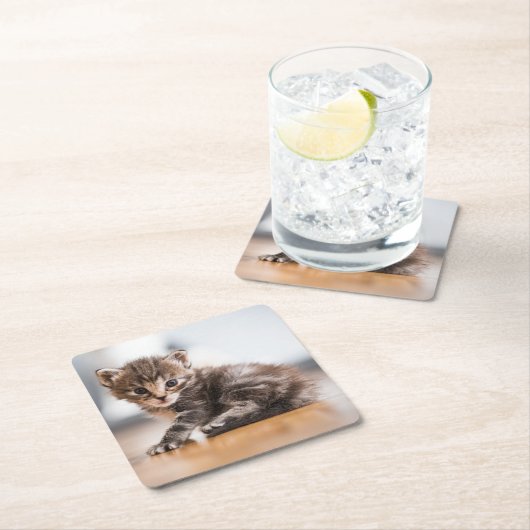 Kutest Baby Animals | Tiny Tabby Kitten Kartonnen Onderzetters (Insitu)