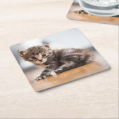 Kutest Baby Animals | Tiny Tabby Kitten Kartonnen Onderzetters (Schuin)