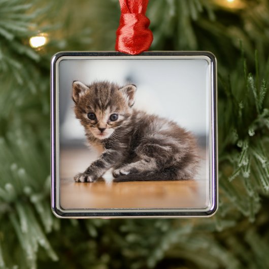 Kutest Baby Animals | Tiny Tabby Kitten Metalen Ornament (Boom)
