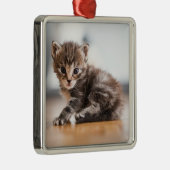 Kutest Baby Animals | Tiny Tabby Kitten Metalen Ornament (Rechts)
