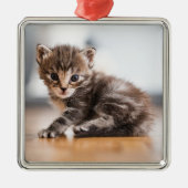 Kutest Baby Animals | Tiny Tabby Kitten Metalen Ornament (Voorkant)
