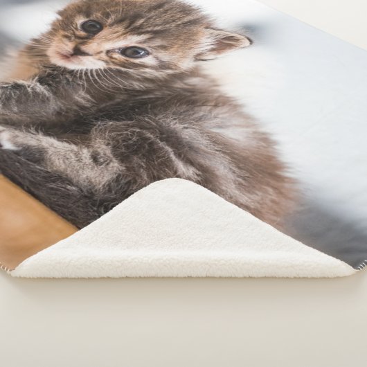 Kutest Baby Animals | Tiny Tabby Kitten Sherpa Deken (3/4)