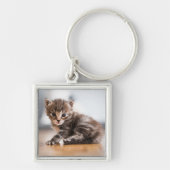 Kutest Baby Animals | Tiny Tabby Kitten Sleutelhanger (Voorkant)