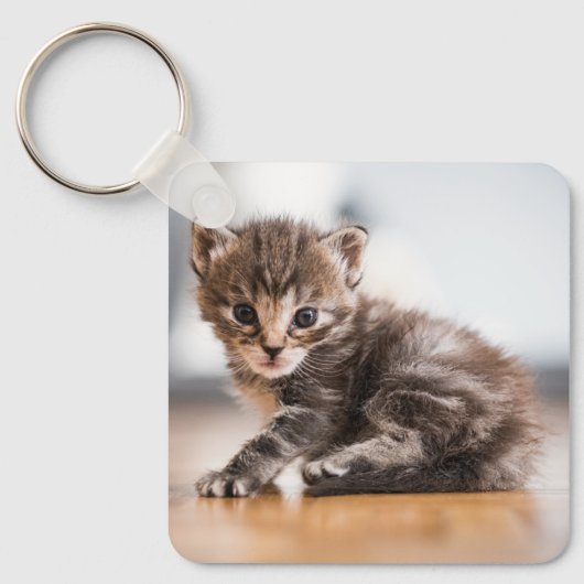 Kutest Baby Animals | Tiny Tabby Kitten Sleutelhanger (Voorkant)
