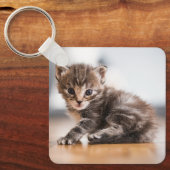 Kutest Baby Animals | Tiny Tabby Kitten Sleutelhanger (Voorkant)