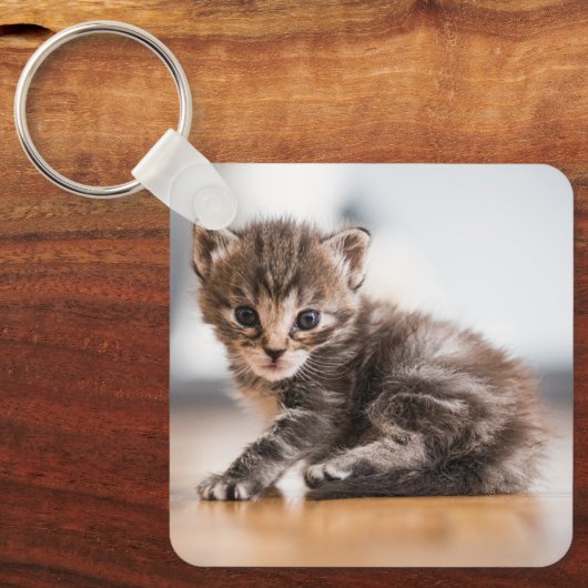 Kutest Baby Animals | Tiny Tabby Kitten Sleutelhanger (Voorkant)