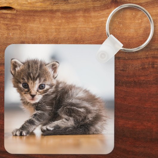 Kutest Baby Animals | Tiny Tabby Kitten Sleutelhanger (Achterkant)