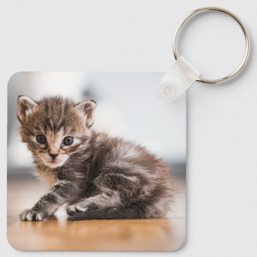 Kutest Baby Animals | Tiny Tabby Kitten Sleutelhanger (Achterkant)