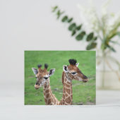 Kutest Baby Animals | Twee Baby Giraffe Briefkaart (Staand voorkant)