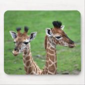 Kutest Baby Animals | Twee Baby Giraffe Muismat (Voorkant)