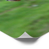 Kutest Baby Animals | Twee Baby Giraffe Poster (Hoek)