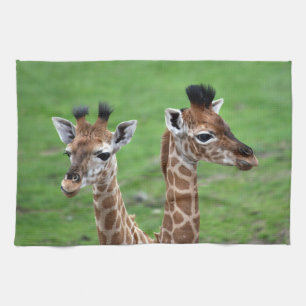 Kutest Baby Animals Twee Baby Giraffe Theedoek